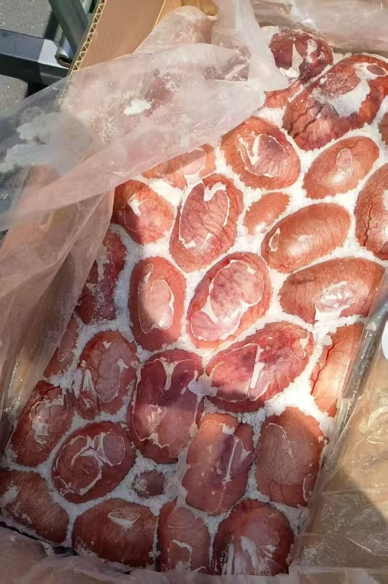 猪宝，现货现发，量大优惠