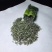苏州东山碧螺春（特一级单牙）