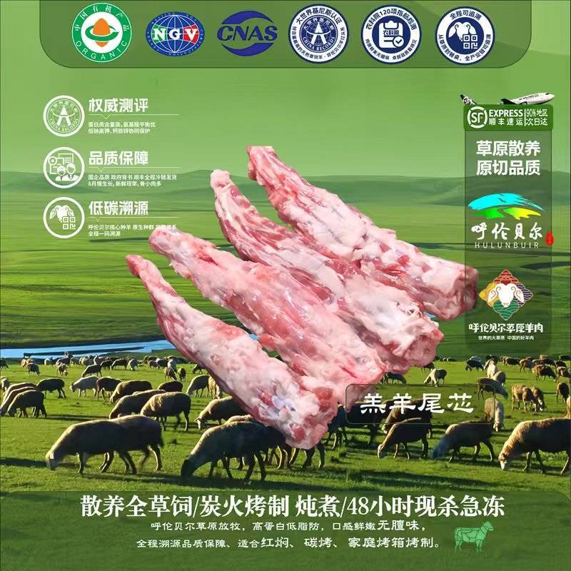 羊尾芯4-6月羔羊呼伦贝尔全草溯源牛羊肉