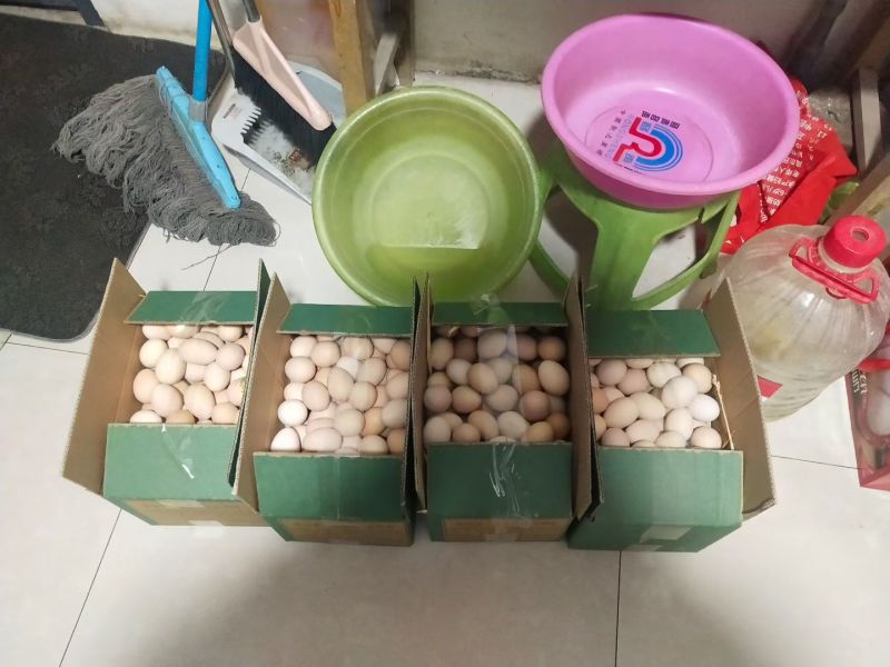 土鸡蛋，保质保量，量大优惠，产地直发，欢迎各位老板咨询