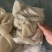 熟羊肚