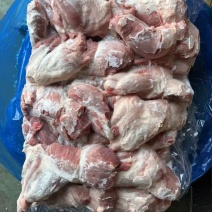 母猪中腱、猪肉、腱子肉