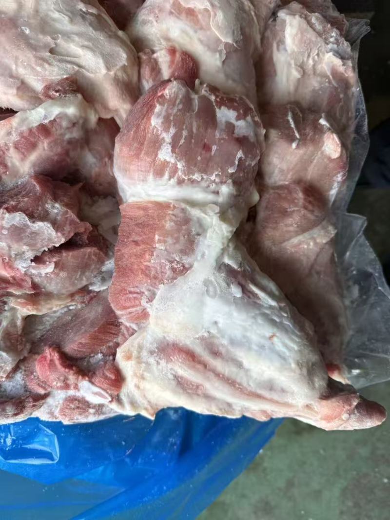 母猪中腱、猪肉、腱子肉