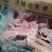 满肉龙骨