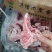 满肉龙骨