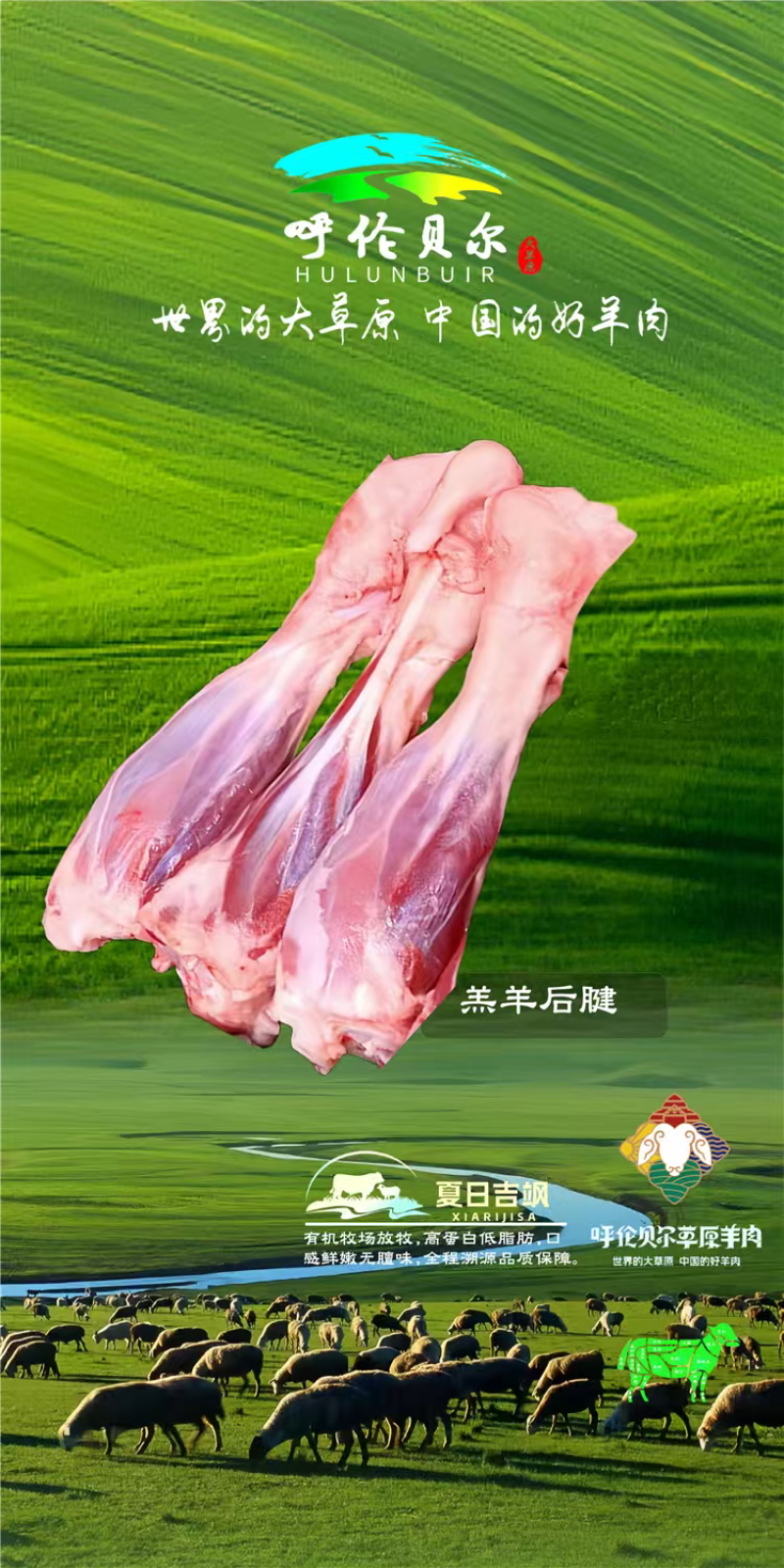羊后腱4-6月羔羊呼伦贝尔全草溯源牛羊肉