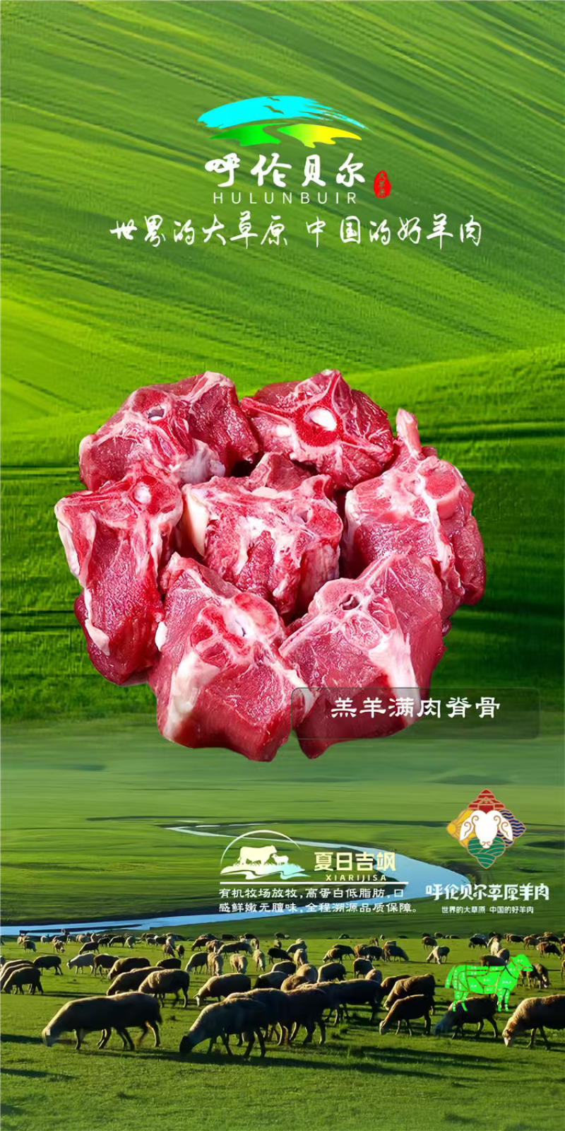 羊脊骨满肉4-6月羔羊呼伦贝尔全草溯源牛羊肉