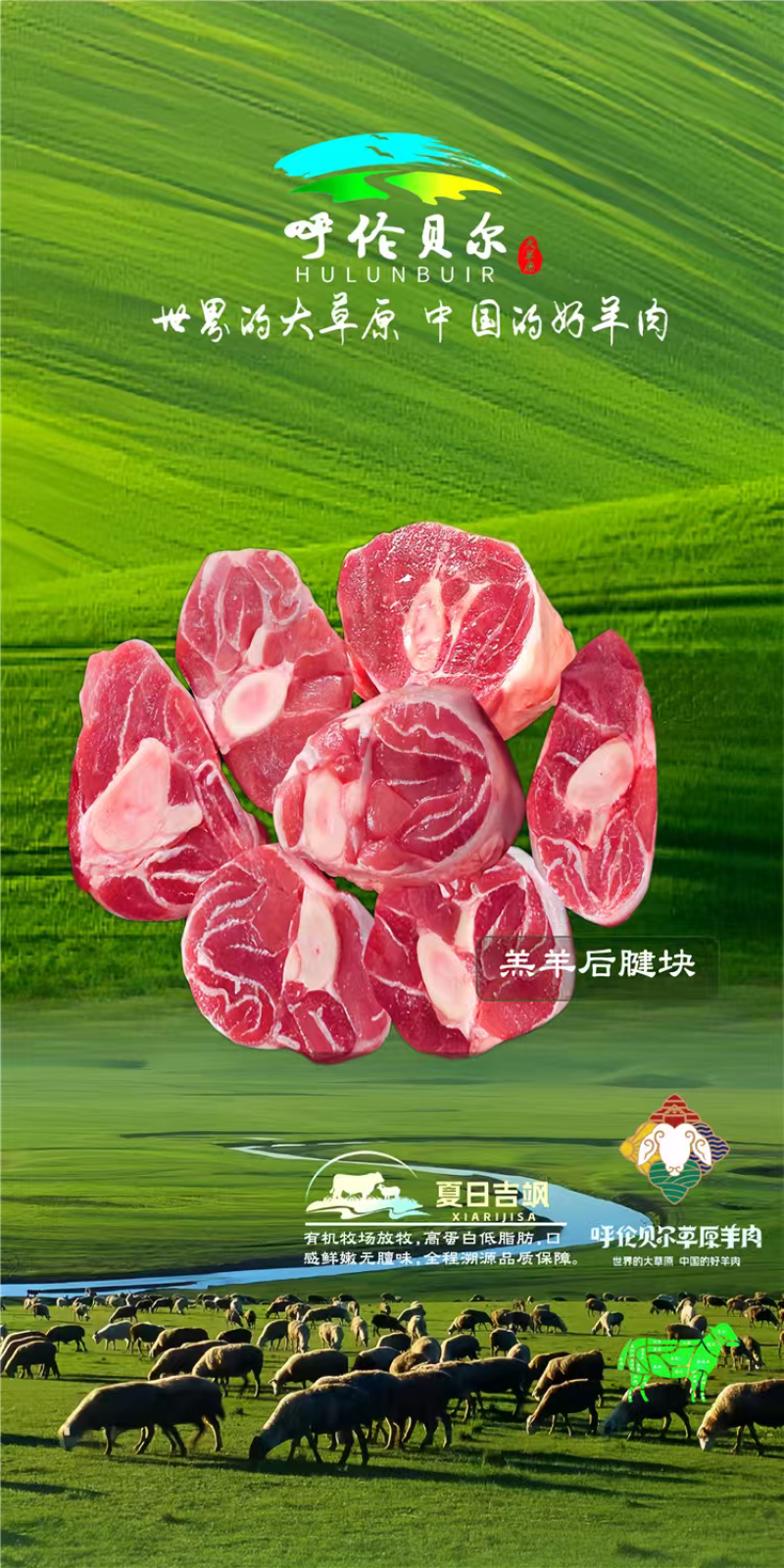 羊后腱块4-6月羔羊呼伦贝尔全草溯源牛羊肉