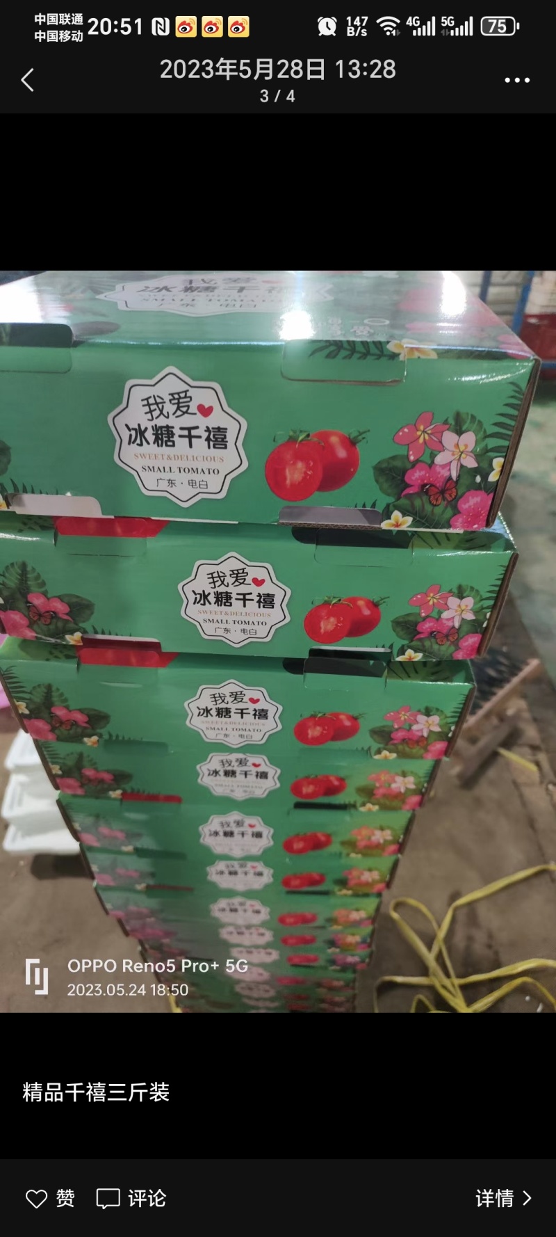 山东莘县燕店千禧六号，釜山88等各种小柿子，