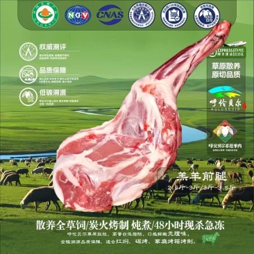 羊前腿4-6月羔羊呼伦贝尔全草溯源牛羊肉