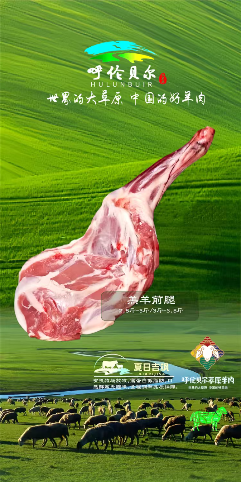 羊前腿4-6月羔羊呼伦贝尔全草溯源牛羊肉