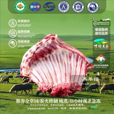羔羊排4-6月羔羊呼伦贝尔全草溯源牛羊肉