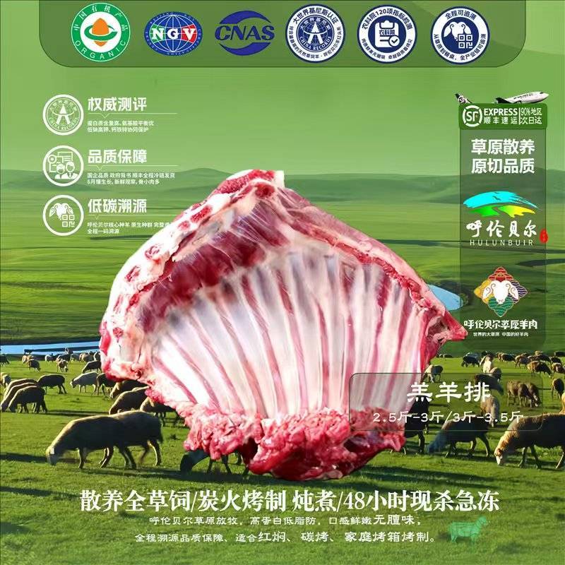 羔羊排4-6月羔羊呼伦贝尔全草溯源牛羊肉