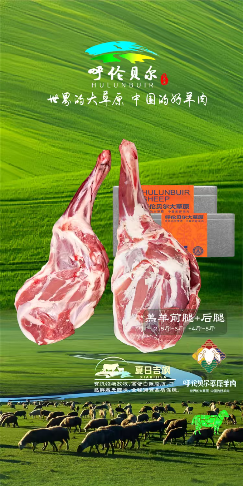 羊脊骨满肉4-6月羔羊呼伦贝尔全草溯源牛羊肉