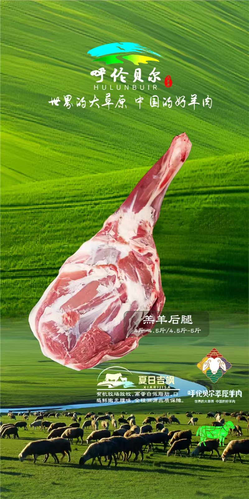羊尾芯4-6月羔羊呼伦贝尔全草溯源牛羊肉