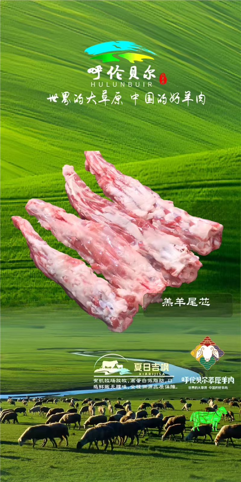 羊尾芯4-6月羔羊呼伦贝尔全草溯源牛羊肉