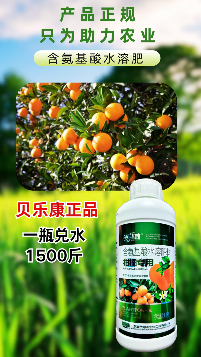 柑橘专用叶面肥促花促果防裂果提质增产含氨基酸水溶肥