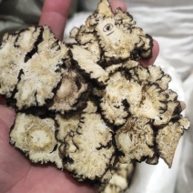 中药材川芎批发零售包全检规格齐全