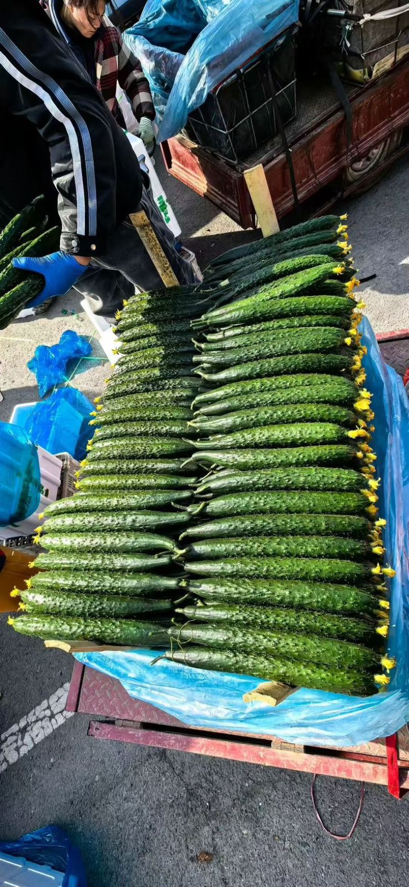 万亩精品黄瓜基地🥒，供应电商～市场～商超，质量三包