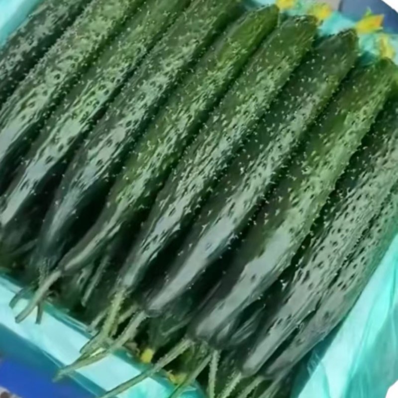 万亩精品黄瓜基地🥒，供应电商～市场～商超，质量三包