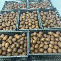 精品烤鸭蛋