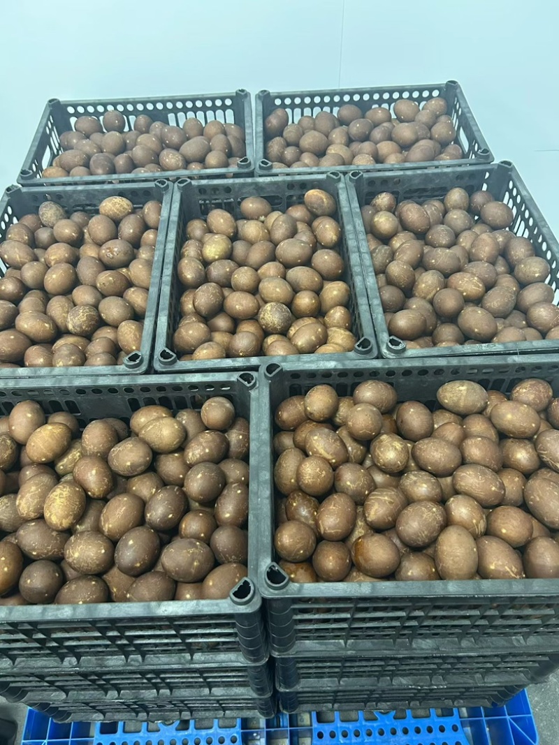 精品烤鸭蛋