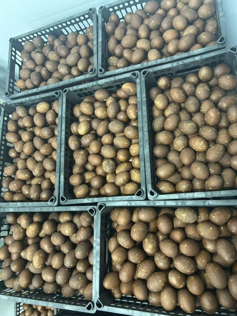 精品烤鸭蛋