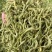金银花中药材金银花散装大货各种规格批发零售