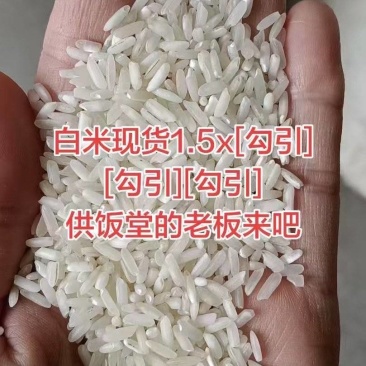 大米食堂米