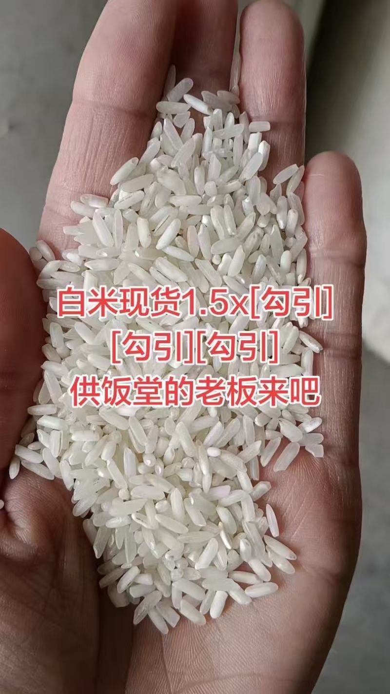 大米食堂米