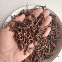 钩藤中药材钩藤批发零售量大从优