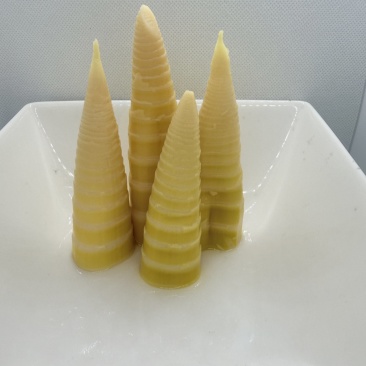 本味小笋