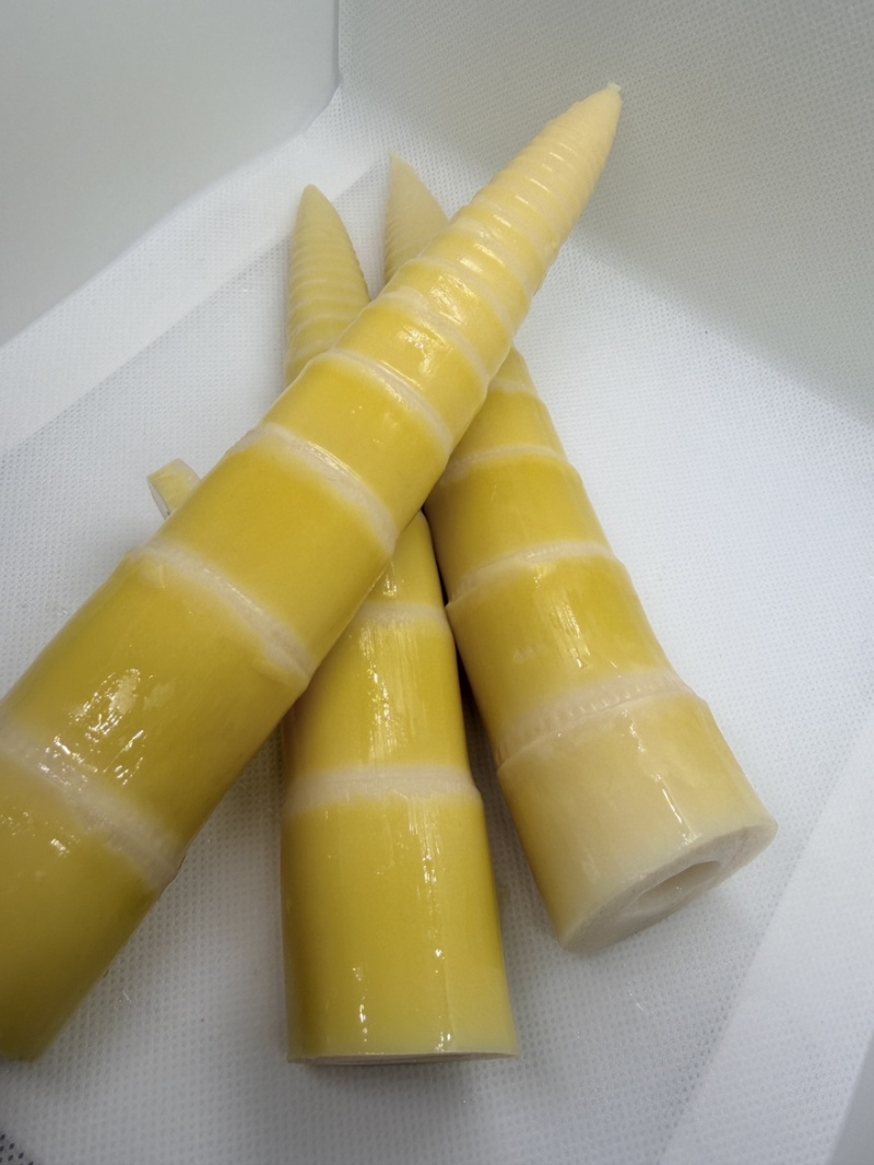 本味小笋