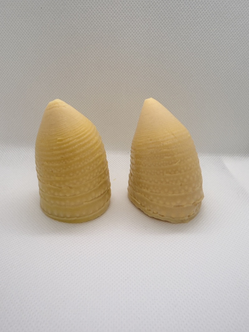 本味小笋