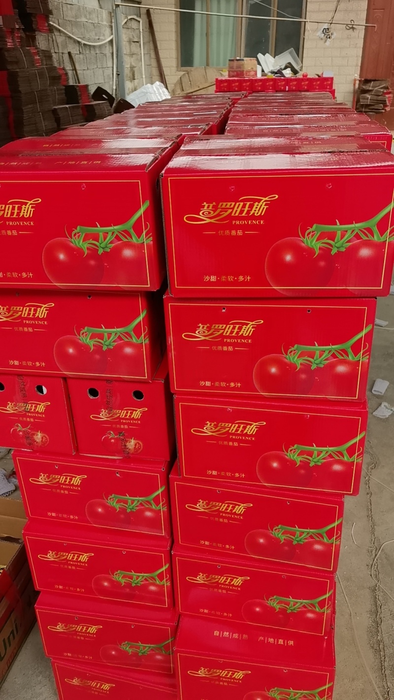 普罗旺斯西红柿上货中，口感好，颜色亮，提供一条龙服务