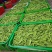 全年供应精品荷兰豆源头基地直供一手货源欢迎咨询