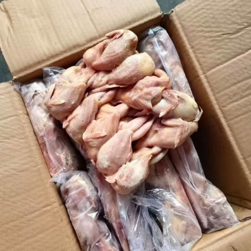 出售鹌鹑，2.5两的