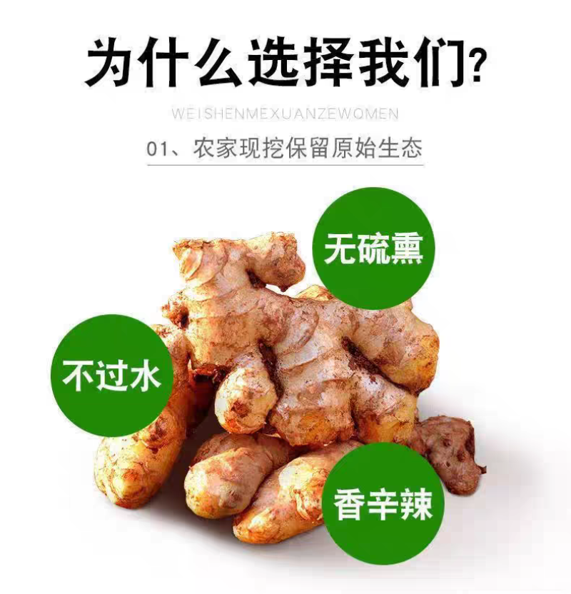 正宗云南老姜新鲜现挖山地老姜月子姜蔬菜调料炒菜煲汤驱寒