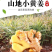 正宗云南老姜新鲜现挖山地老姜月子姜蔬菜调料炒菜煲汤驱寒