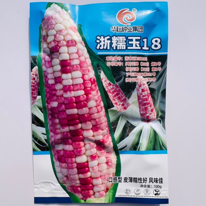 浙糯玉18玉米种子小香糯玉米种子红甜糯玉米种籽香粘花糯玉