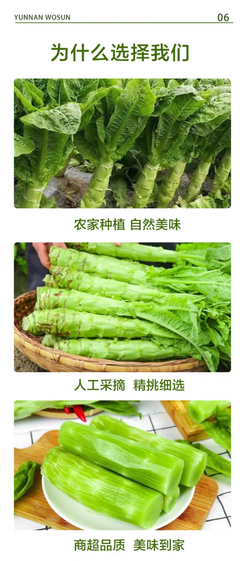 云南高原新鲜莴笋脆嫩多汁不空心现摘现发清炒凉拌火锅