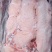 大槽头猪肉，质优价廉，欢迎各位老板来电咨询