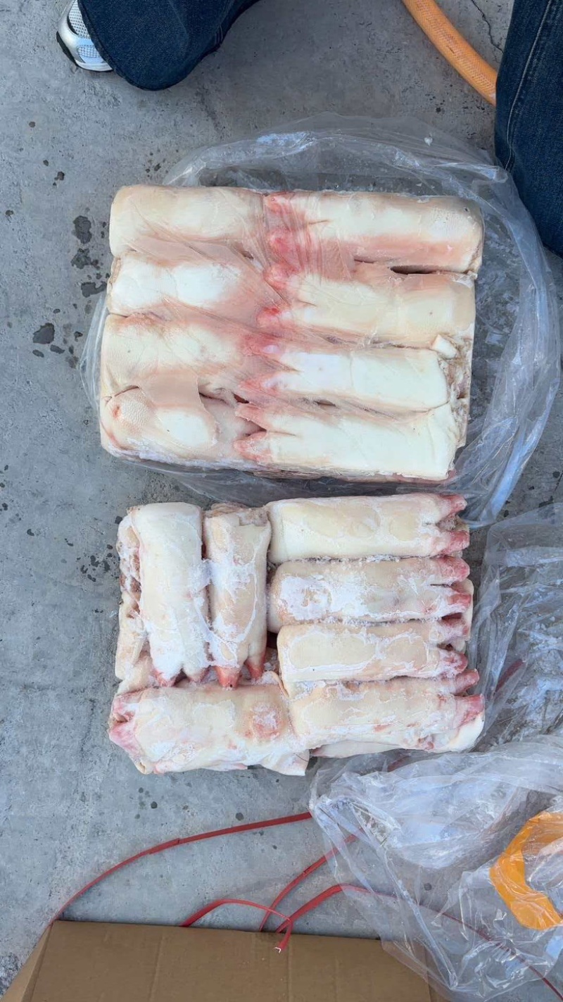 母猪前蹄，质优价廉，大量有货，欢迎咨询订购