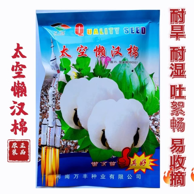 棉花种子太空懒汉棉花种子高产抗虫抗病抗重茬棉花籽种