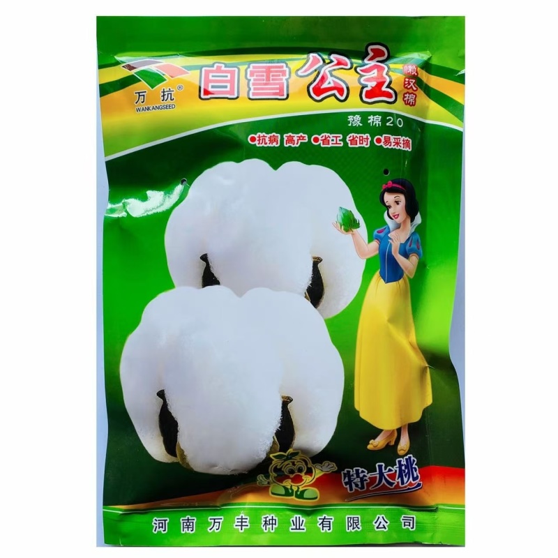 棉花种子抗虫高产棉花种子抗病易采摘懒汉棉白雪公主棉花种子