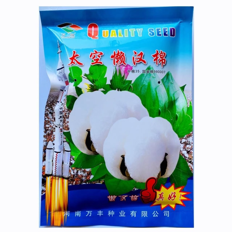 棉花种子抗虫高产棉花种子抗病易采摘懒汉棉白雪公主棉花种子