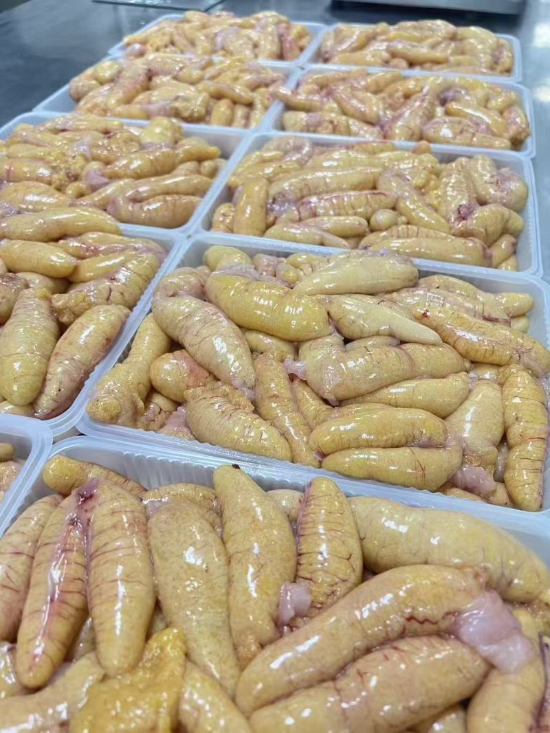 精品鲈鱼籽，现货现发，欢迎认购，今日开工，欢迎下单