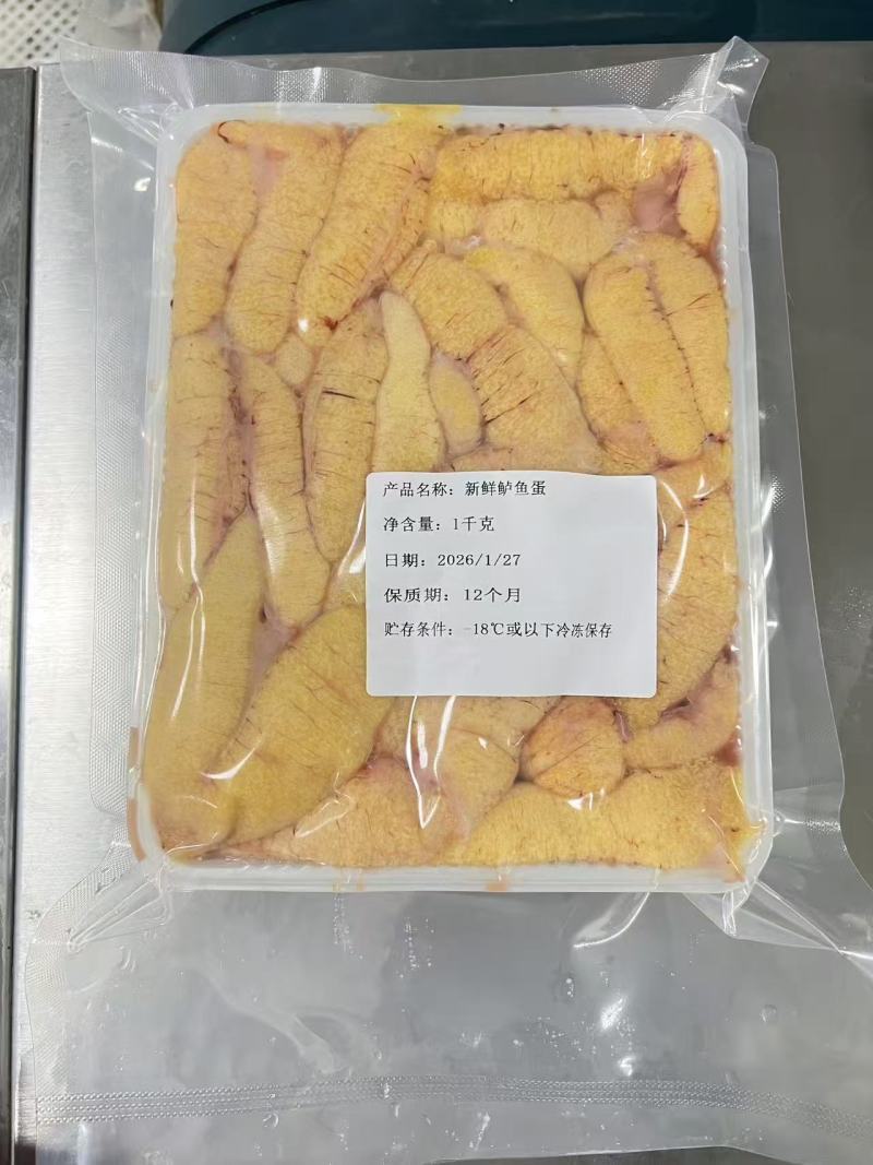 精品鲈鱼籽，现货现发，欢迎认购，今日开工，欢迎下单