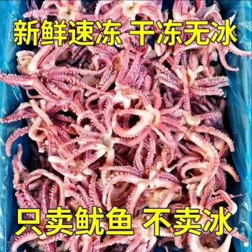鱿鱼须一斤，工厂自产品质有保障。欢迎咨询，量大价优