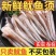 鱿鱼须一斤，工厂自产品质有保障。欢迎咨询，量大价优